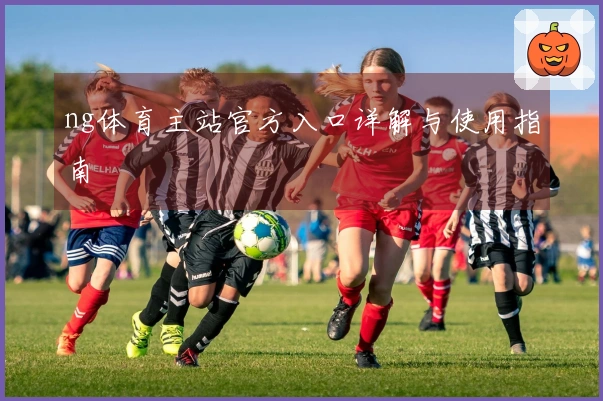 ng体育主站官方入口详解与使用指南