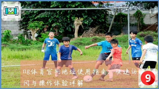 ng体育官网地址使用指南:快速访问与操作体验详解