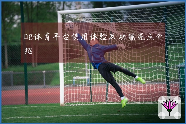 ng体育平台使用体验及功能亮点介绍