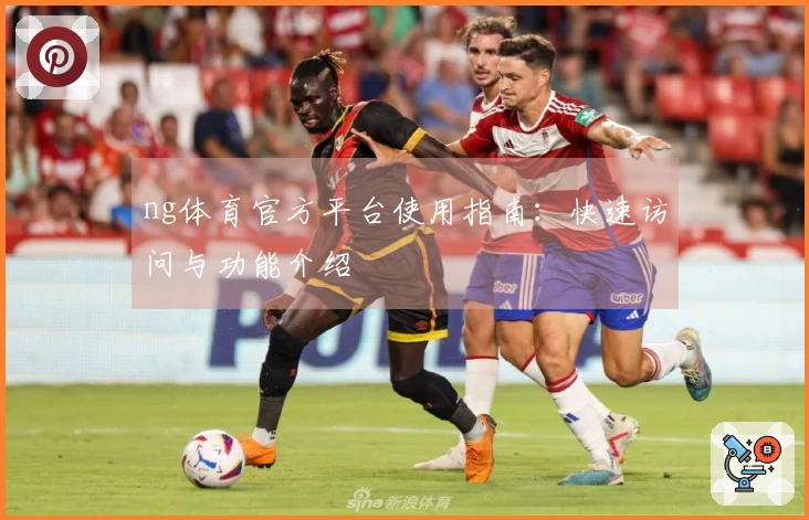 ng体育官方平台使用指南：快速访问与功能介绍