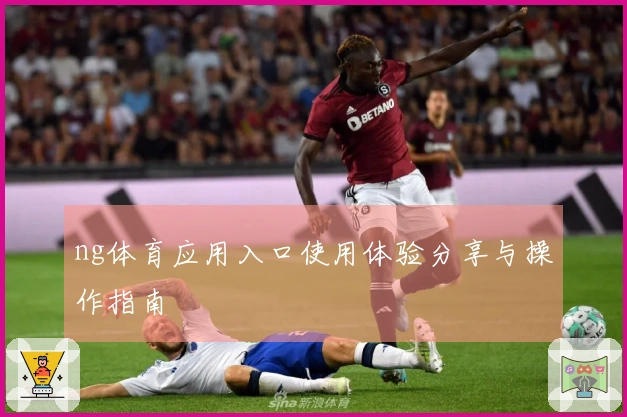 ng体育应用入口使用体验分享与操作指南