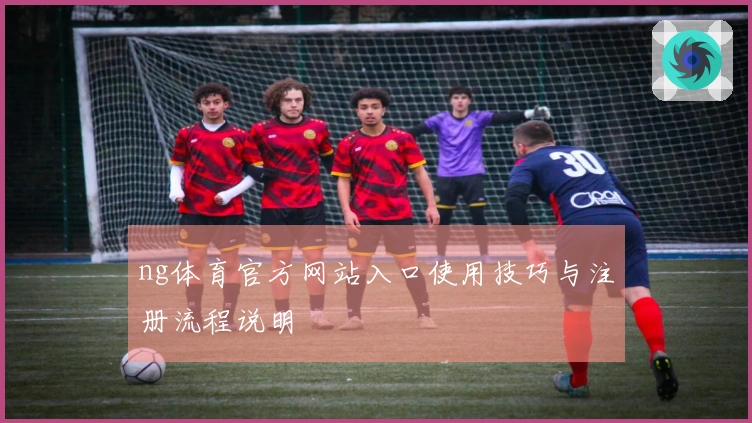 ng体育官方网站入口使用技巧与注册流程说明